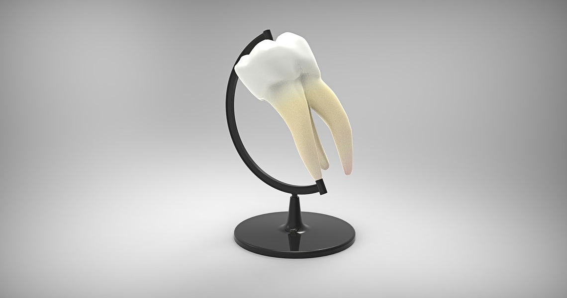 Post Tooth Extraction - Is the Extraction Site Ready for an Implant?