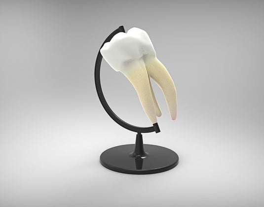 Post Tooth Extraction - Is the Extraction Site Ready for an Implant?